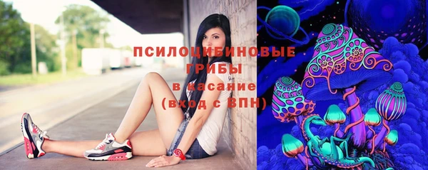 шишки Армянск
