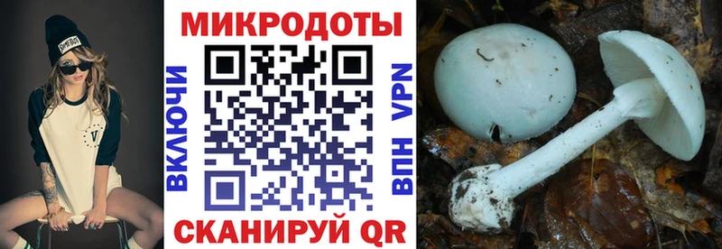что такое наркотик  Сибай  МЕГА маркетплейс  Псилоцибиновые грибы Cubensis 